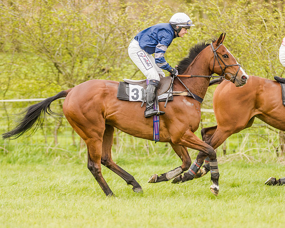 Race 2 - Open Maiden  (46 of 170).jpg