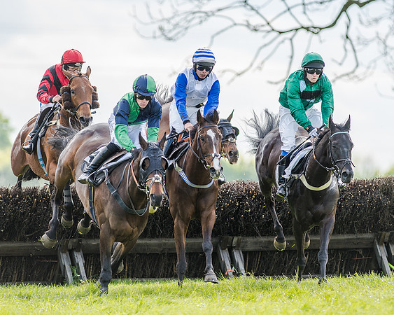 Race 4 - PPORA Novice Riders (87 of 196).jpg
