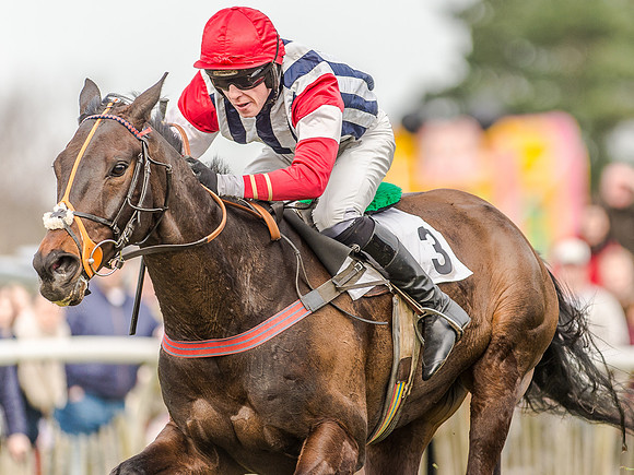 Race 4 - PPORA Club Members for Novice Riders (109 of 131).jpg