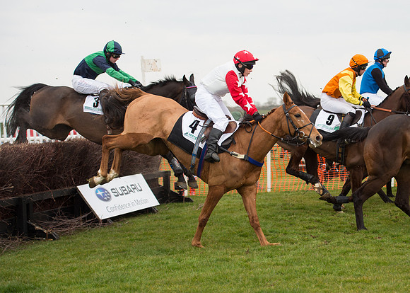 Race 6 - Confined Hunts-70