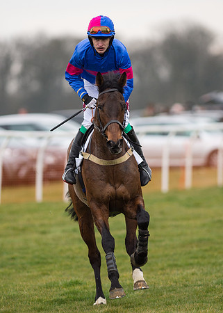 Race 7 - PPORA Novice Riders-5