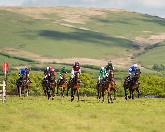 Race 6 - Open Maiden Race (32 of 71).jpg