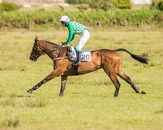 Race 6 - Open Maiden Race (24 of 71).jpg