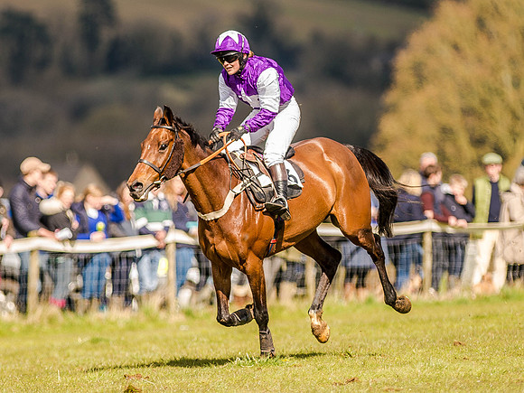 Race 4 - Ladies Open [Nov-Vet] (67 of 82).jpg