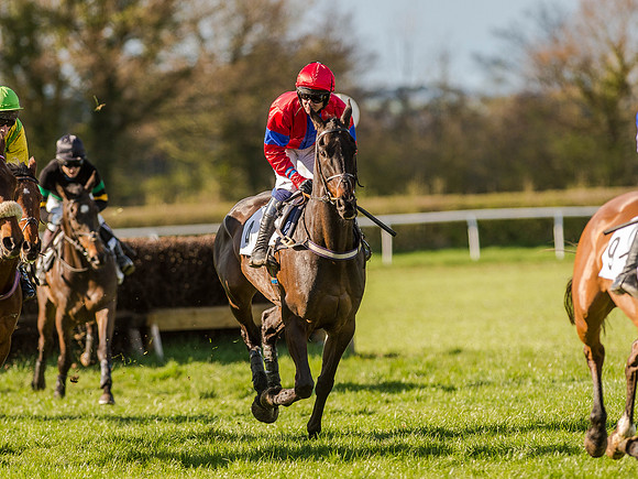 Race 6 - The Open Maiden (45 of 122).jpg