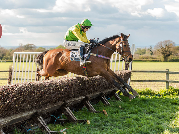 Race 6 - The Open Maiden (75 of 122).jpg