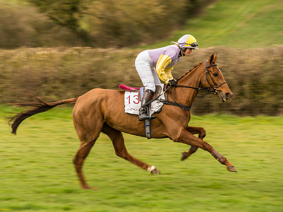 Race 6 - Open Maiden Division 1  (42 of 133).jpg