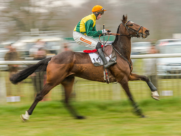 Race 5 - Open Maiden Division 2 (49 of 112).jpg