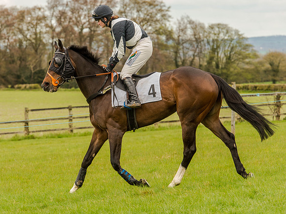 Race 3 - Young Horse maiden 2m5f (50 of 124).jpg