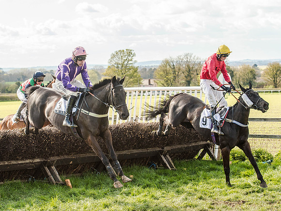 Race 5 - The Southern Grand national (36 of 96).jpg
