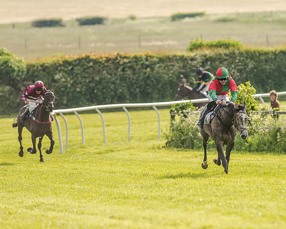 Race 7 - Div 1 - Open Maiden (65 of 94).jpg