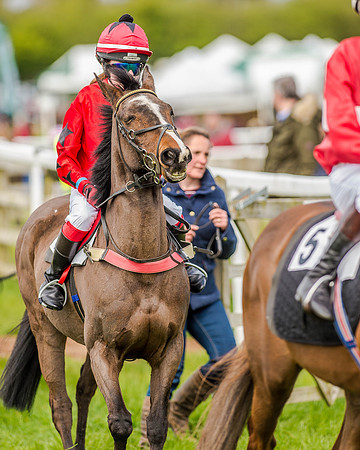 Pony Race 2 (25 of 77).jpg