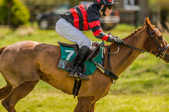 Pony Races (37 of 127).jpg