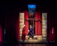 Beauty and the Beast (7 of 531)