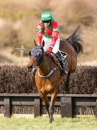 Race 3 - Mixed Open race (47 of 76).jpg