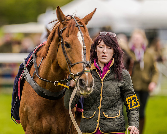 Race 2 - Open Maiden  (10 of 170).jpg