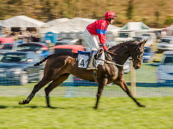 Race 6 - The Open Maiden (23 of 122).jpg