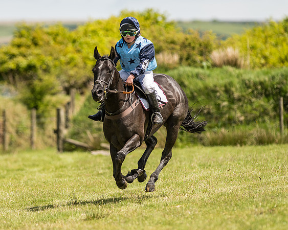 Pony Race 2  (24 of 33).jpg