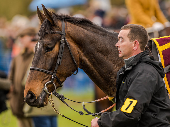 Race 3 - Young Horse maiden 2m5f (34 of 124).jpg