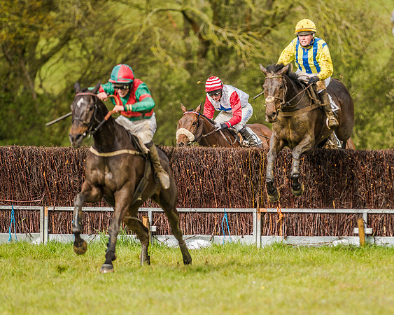 Race 5 - Open Maiden (109 of 147).jpg