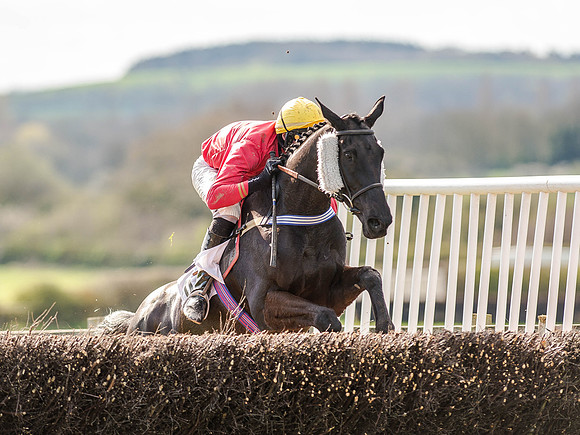 Race 5 - The Southern Grand national (50 of 96).jpg