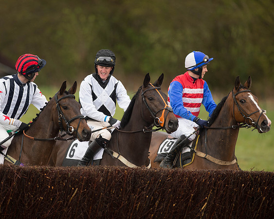 Race 5 - Open Maiden (77 of 147).jpg