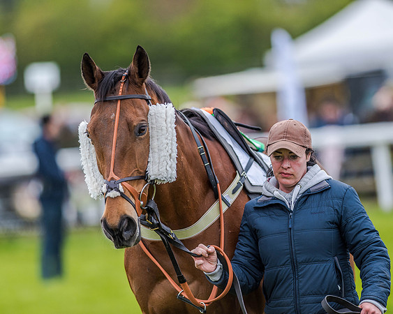 Race 4 - PPORA Novice Riders (11 of 151).jpg