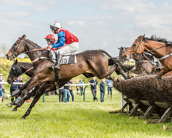 Race 5 - Division 2 - Restricted Race (46 of 105).jpg