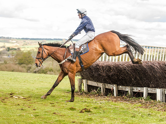 Race 5 - Mens Open [Nov-Vet] (60 of 68).jpg