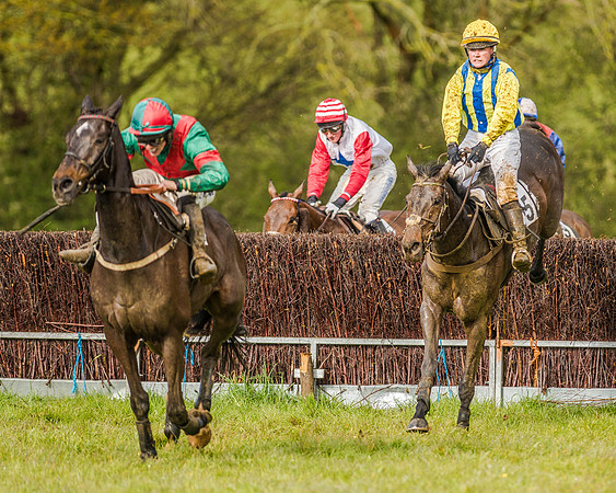Race 5 - Open Maiden (110 of 147).jpg