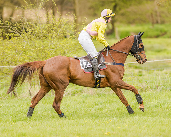 Race 2 - Open Maiden  (61 of 170).jpg