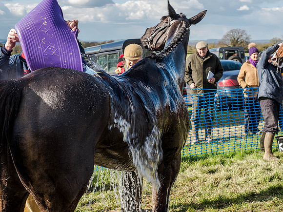 Race 5 - The Southern Grand national (86 of 96).jpg