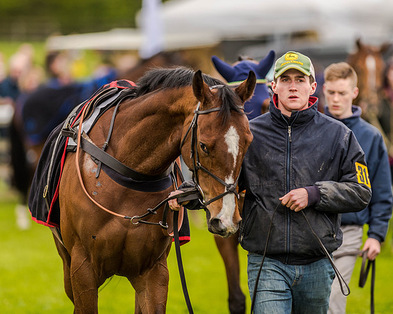 Race 2 - Open Maiden  (6 of 170).jpg