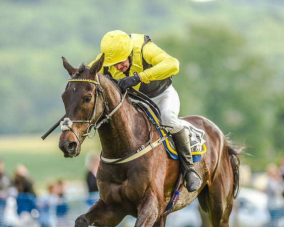 Race 7 - Div 2 - Open Maiden (125 of 163).jpg