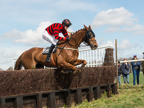Race 2 - Confined Hunts Race (64 of 87).jpg