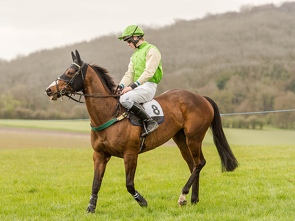 Race 2 - PPORA Club Members Conditions 2m5f (47 of 137).jpg