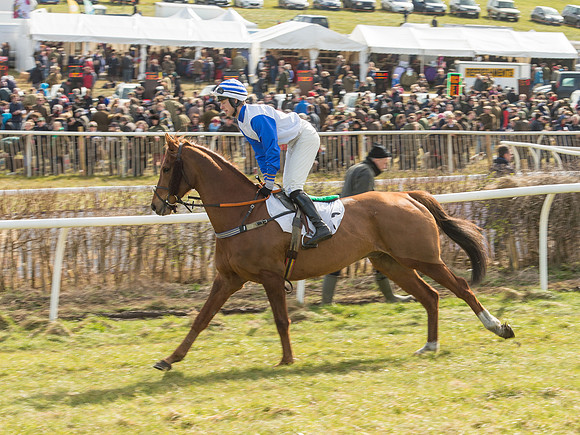 Race 2 - Confined Hunts Race (21 of 87).jpg