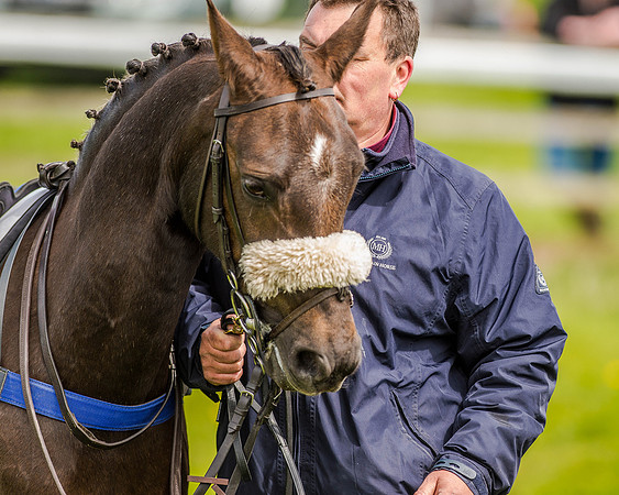 Pony Race 2 (8 of 77).jpg