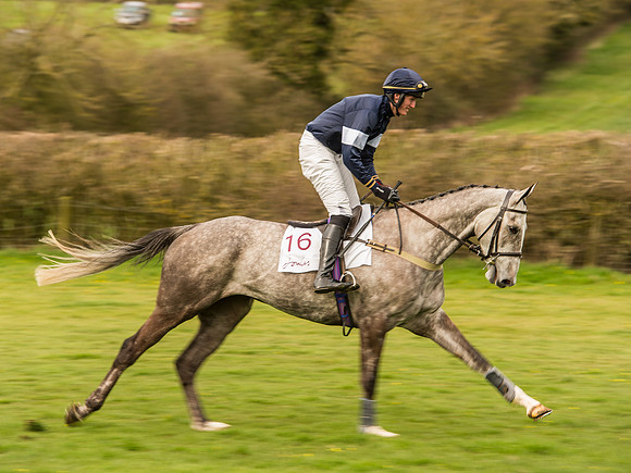 Race 6 - Open Maiden Division 1  (34 of 133).jpg