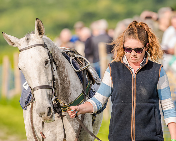Race 7 - Div 2 - Open Maiden (29 of 163).jpg