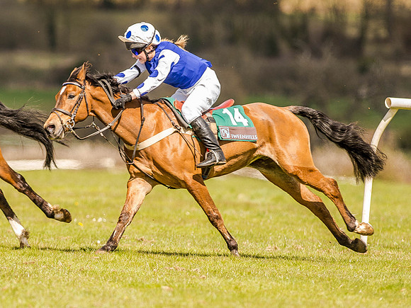 Pony Races (71 of 127).jpg