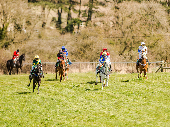 Pony Races (6 of 127).jpg