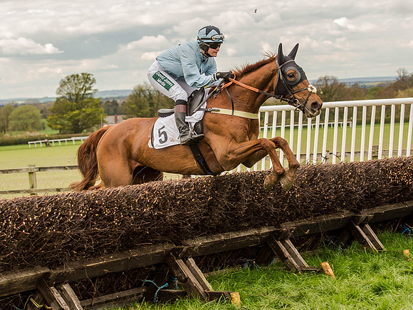 Race 3 - Young Horse maiden 2m5f (83 of 124).jpg