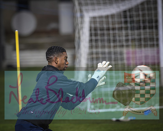 Chesham Utd 2 Salisbury 2 (3 of 401)