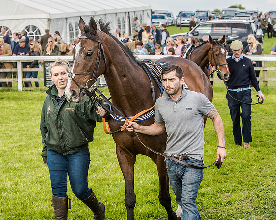 Race 4 - PPORA Novice Riders (42 of 196).jpg