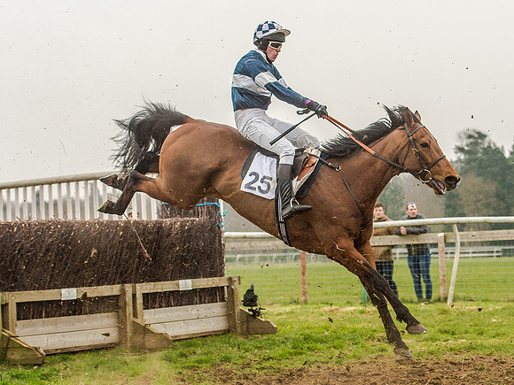 Race 5 - Open Maiden Division 2 (84 of 112).jpg