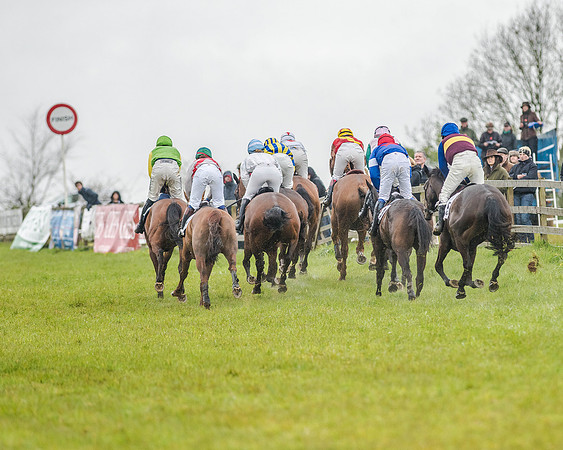 Race 5 - Restricted Race (72 of 146).jpg