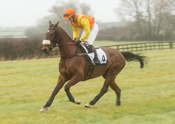 Race 1 - Confined Hunts (24 of 101).jpg