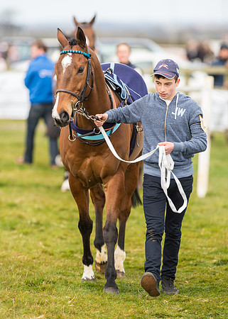 Pony Race 2 - 148cm -10