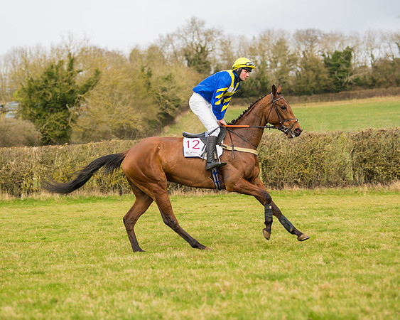 Race 2 - Open Maiden (35 of 128)
